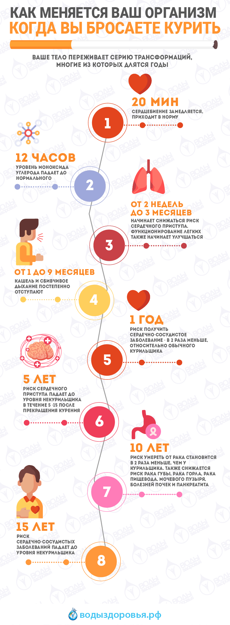 Как меняется ваш организм когда вы бросаете курить